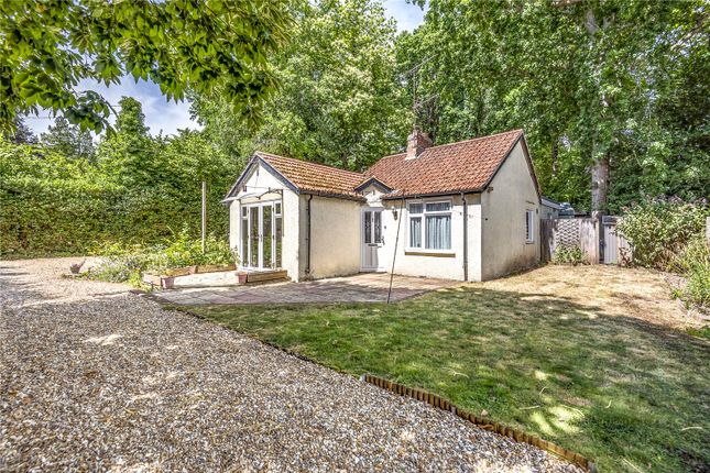 Thumbnail Bungalow for sale in Pirbright Road, Normandy, Surrey