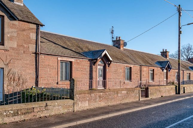 Thumbnail Terraced bungalow for sale in Annfield Place, Alyth
