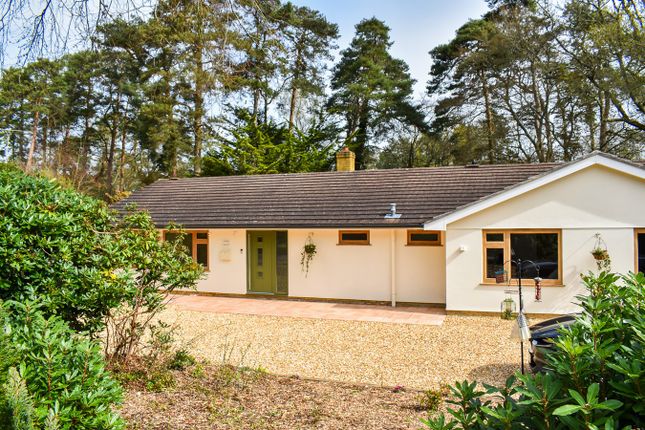 Thumbnail Detached bungalow for sale in St Ives Wood, Ringwood