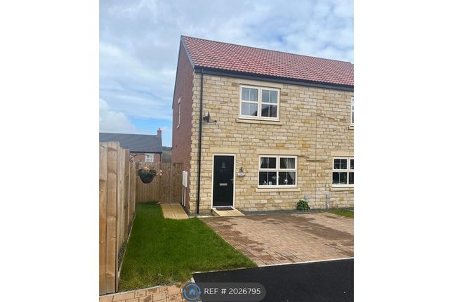Thumbnail Semi-detached house to rent in Worcester Place, Alnwick