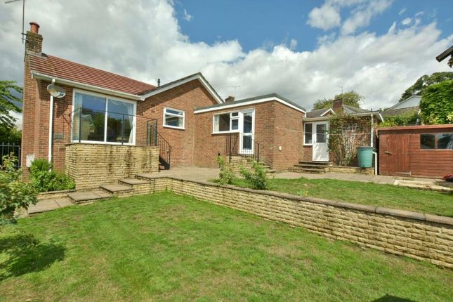Detached bungalow for sale in Lacy Drive, Wimborne, Dorset
