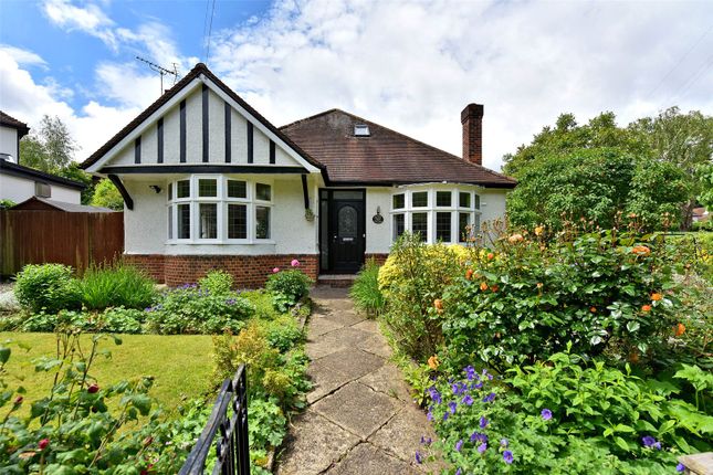 Thumbnail Detached house for sale in Elm Grove, Maidenhead, Berkshire
