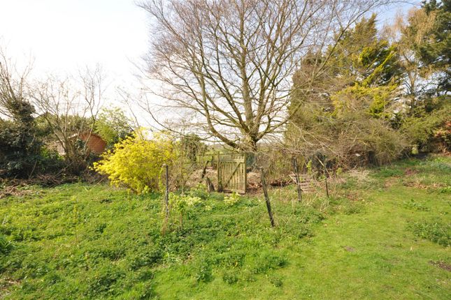 Bungalow for sale in Chilham, Canterbury