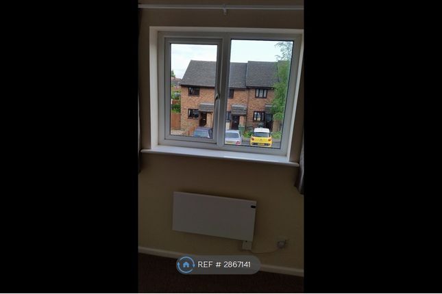 Chalet Hill, Bordon photo 3