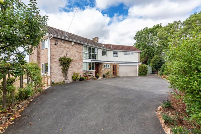 Thumbnail Detached house for sale in Leys Lane, Frome, Somerset