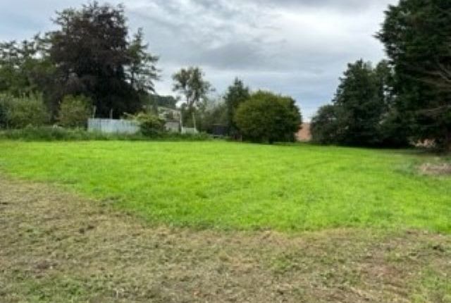 Land for sale in Ewyas Harold, Hereford