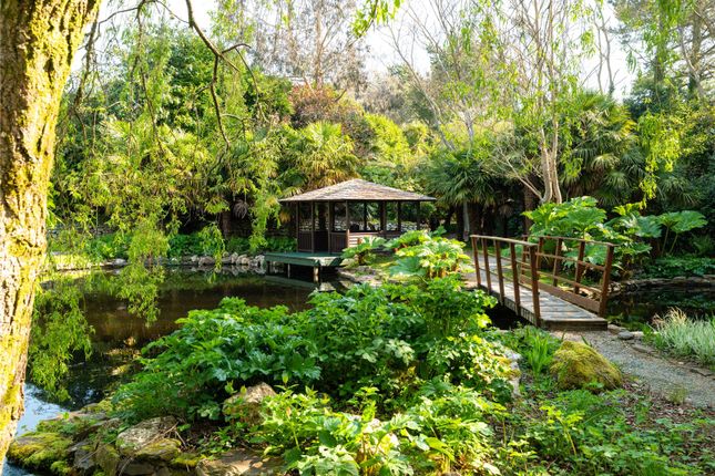 Lake And Gazebo