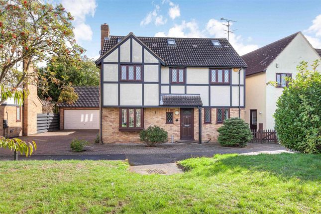 Thumbnail Detached house for sale in Larch Walk, Hatfield Peverel, Chelmsford, Essex