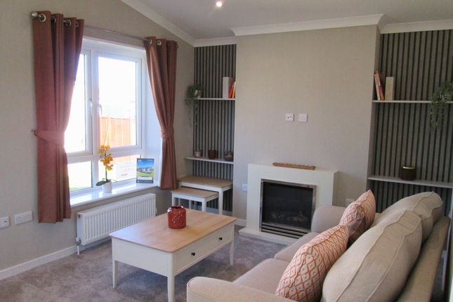 22A, Ivy House Park, Taunton photo 4