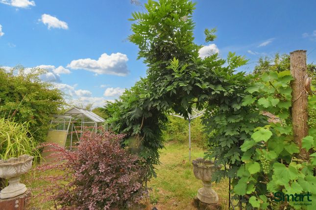 Rose Cottage, Exeter photo 4