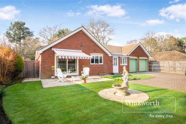 Thumbnail Bungalow for sale in Golf Links Road, Ferndown
