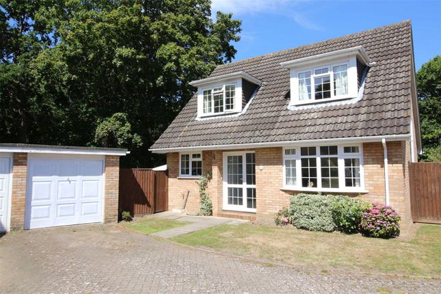 Bungalow for sale in Palmer Place, New Milton, Hampshire