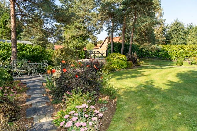 Detached bungalow for sale in Meadow Lane, North Lopham, Diss