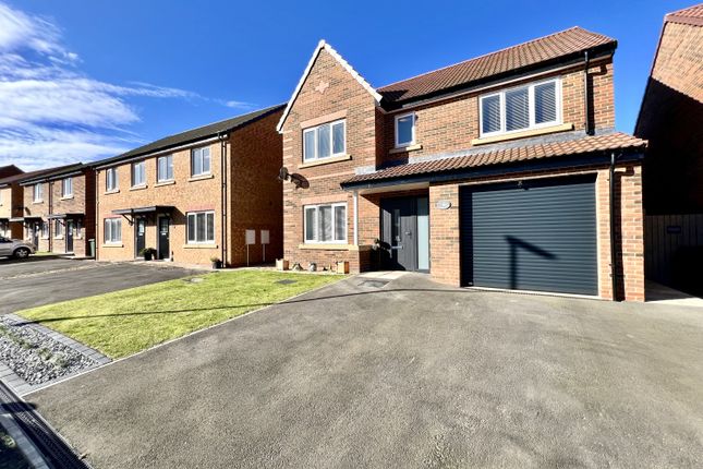 Thumbnail Detached house for sale in Wayfarer Meadows, Hartlepool