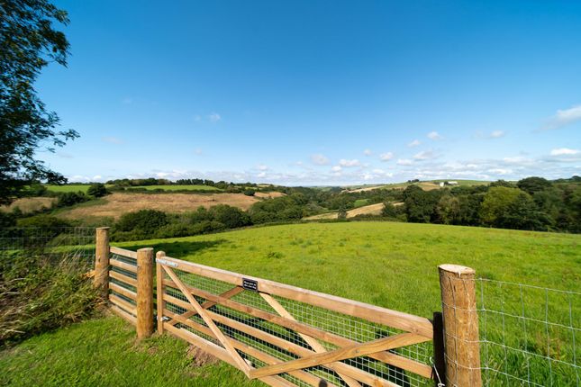 Littleham, Bideford photo 2
