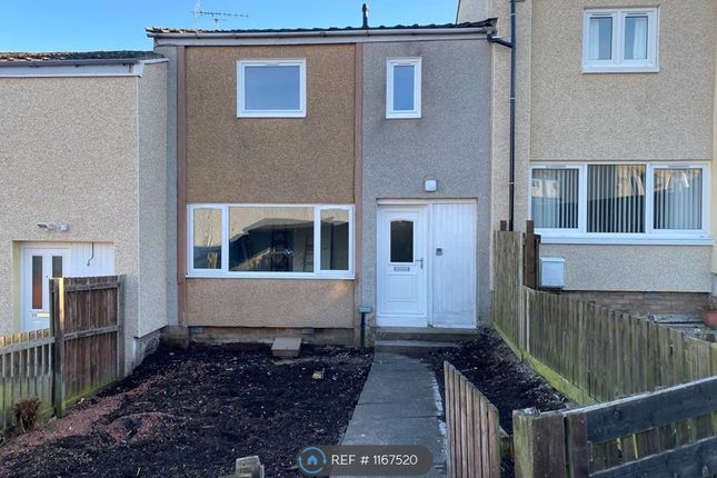 Thumbnail Terraced house to rent in Mossilee Road, Galashiels