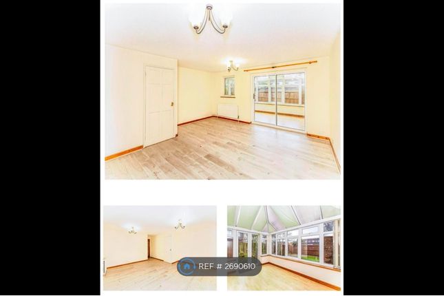 Large Living Room, Conservatory