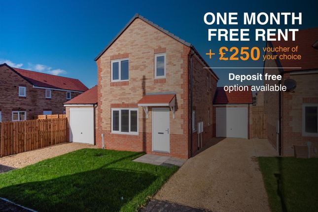 Brandon - 1Mfr, Â£250 Voucher &amp; Deposit Free.Png