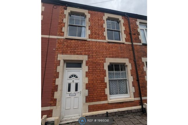 Terraced house to rent in Spring Gardens Terrace, Cardiff CF24