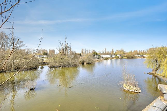 24, Goose Island, Northampton photo 2