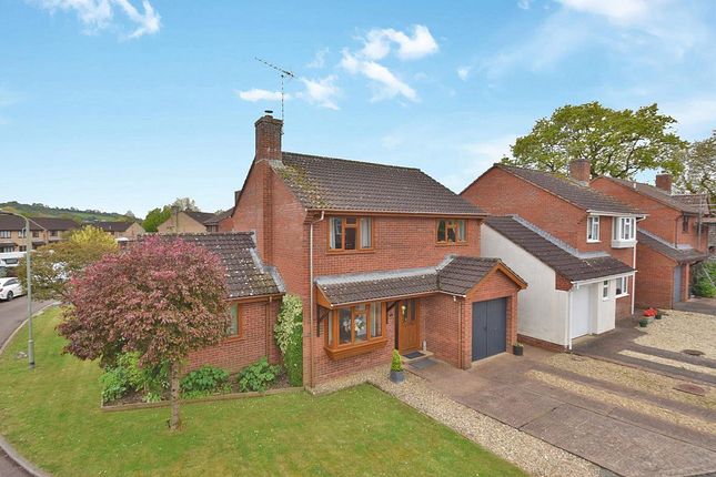 Thumbnail Detached house for sale in Bluebell Avenue, Tiverton