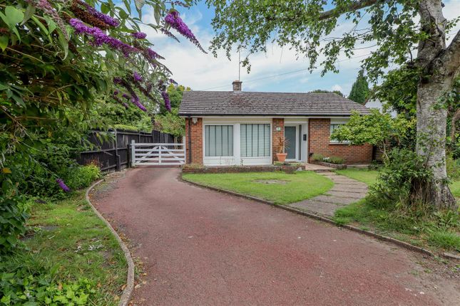 Thumbnail Detached bungalow for sale in Forest Road, Horsham