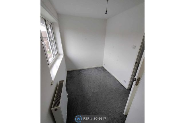 Clementina Close, Sunderland photo 5