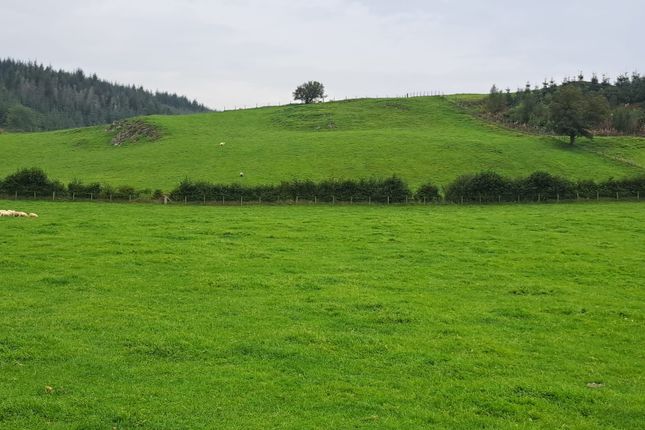 Land for sale in Llanafanfawr, Builth Wells, Powys.