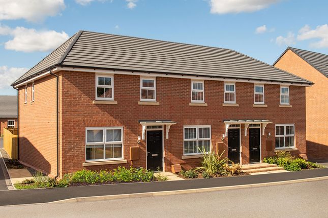 Thumbnail Terraced house for sale in "Archford" at Cordy Lane, Brinsley, Nottingham