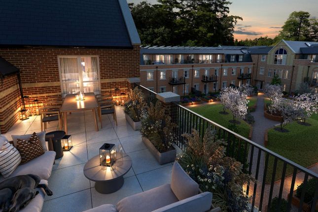 Roof Terrace
