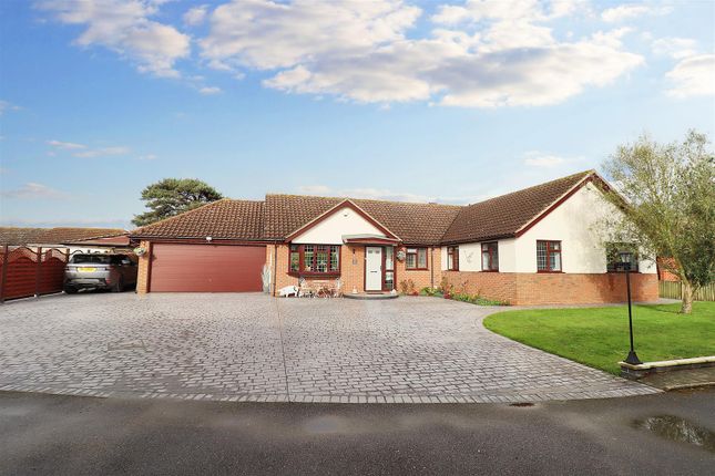 Detached bungalow for sale in Motts Close, Braintree