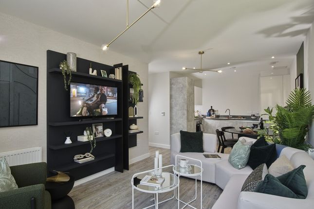 Base Apartments Photography Open Plan