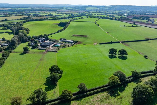 Yellowford Farm, Thorverton photo 3