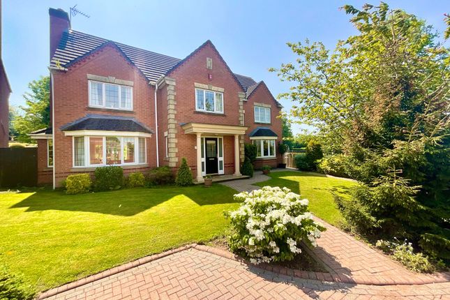 Thumbnail Detached house for sale in Roebuck Court, Hilderstone