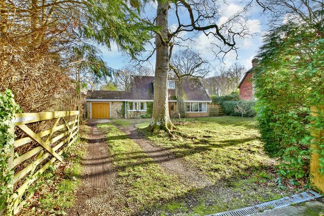 Thumbnail Detached house for sale in Chalk Road, Ifold, Billingshurst, West Sussex
