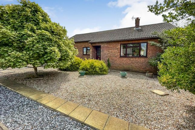 Tlc_Da4B2d94-0038-494c-9B55-0204Fc65A837_0c20B5d.J