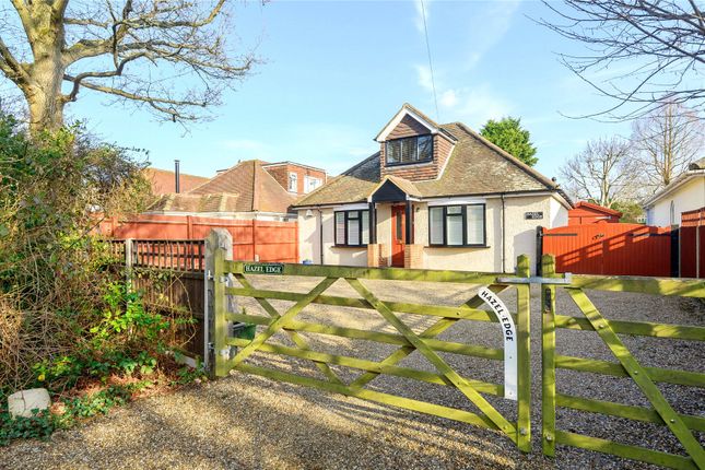 Thumbnail Detached house for sale in Chobham, Woking