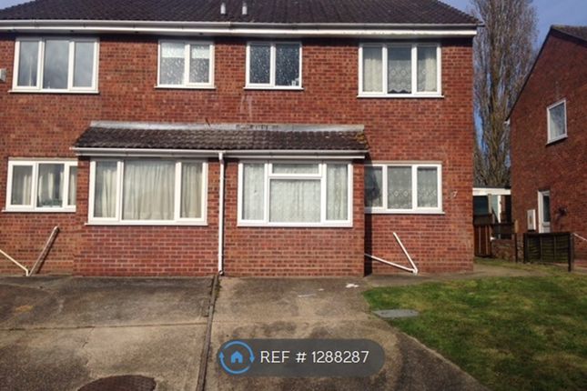 Thumbnail Semi-detached house to rent in Forest Road, Colchester