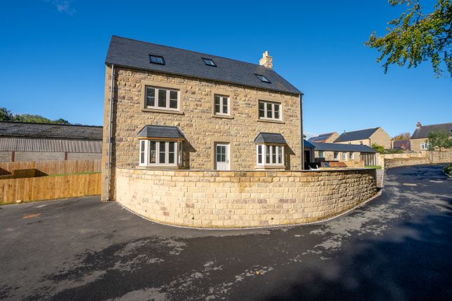 Plot2Finghall1