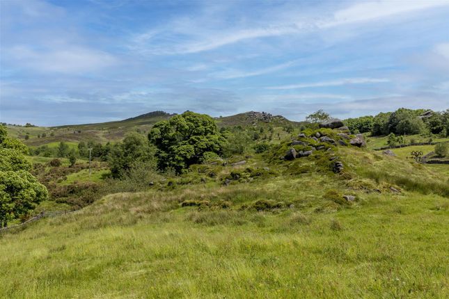 Local Area
