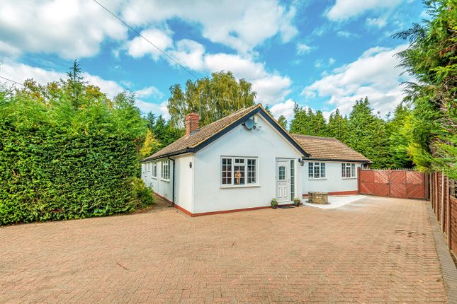 Detached bungalow to rent in Ampthill Road, Flitwick
