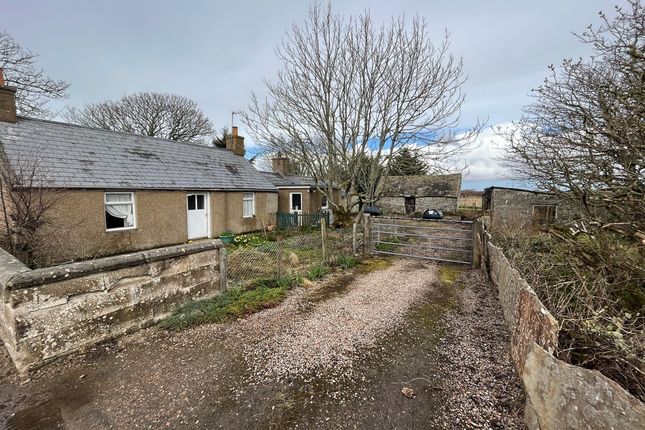 Thumbnail Cottage for sale in Halkirk