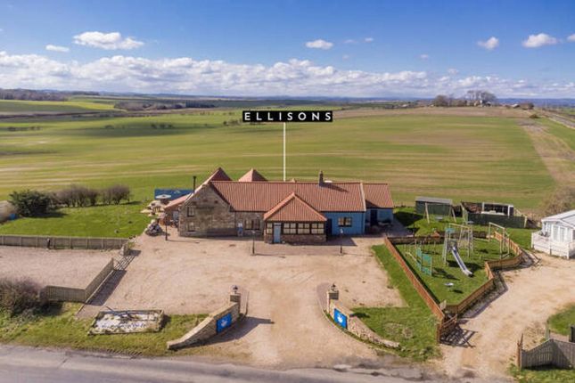 Thumbnail Detached house for sale in The Plough On The Hill, Allerdean, Berwick-Upon-Tweed