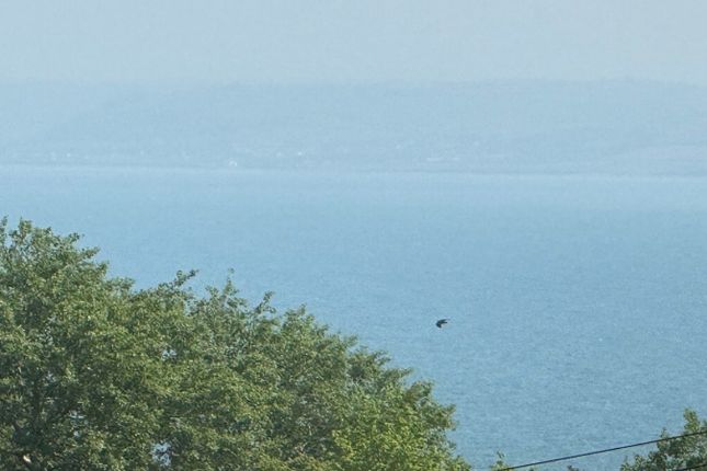 Dolawel, Rectory Square, New Quay photo 3