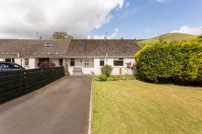 Thumbnail Semi-detached bungalow for sale in Golf View, Muckhart, Dollar