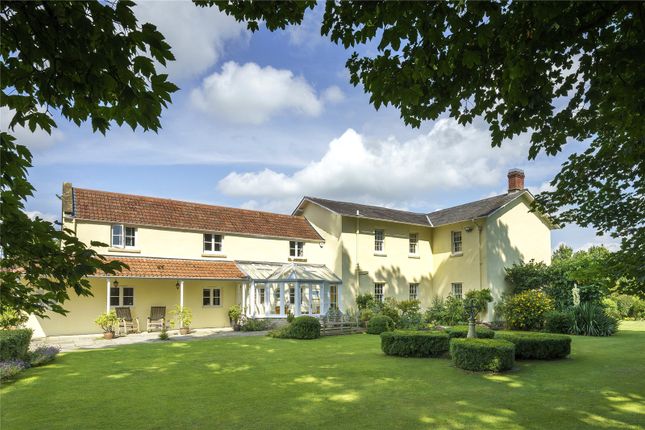 Blacknest Farm