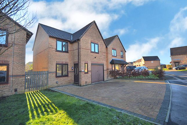 Thumbnail Detached house to rent in Sycamore Drive, Desborough, Kettering