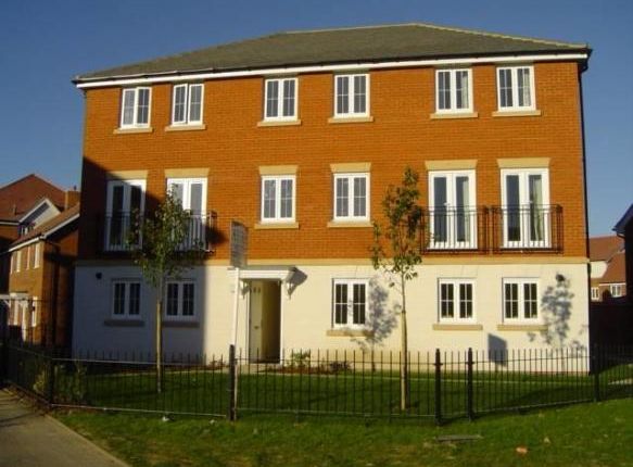Terraced house to rent in Dragon Road, Hatfield