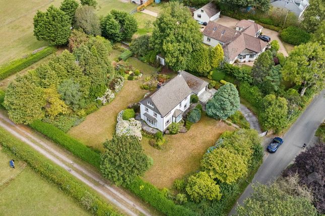 The White House, Green Lane, Yelverton photo 4