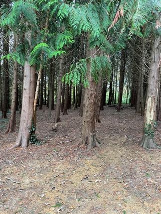 Land for sale in Ryde, Siskin Wood
